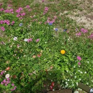 Meet your Posher, Lara